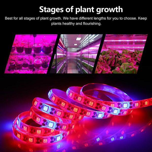 grow lights usb plant led light full spectrum 5v strip leds phyto lamps flexible hydroponic greenhouse gardening
grow lights usb plant led light full spectrum 5v strip leds phyto lamps flexible hydroponic greenhouse gardening