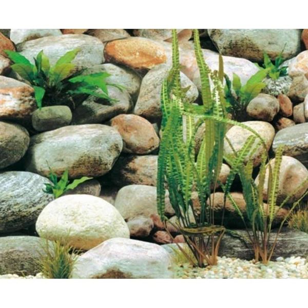decorations 9023 23.3" x 60" double sided fish tank background aquarium decoration picture poster landscape stone / beautiful rock
decorations 9023 23.3" x 60" double sided fish tank background aquarium decoration picture poster landscape stone / beautiful rock