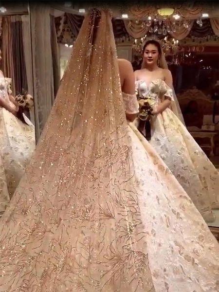 bridal veils sparkly gold veil 2021 champagne color 3 m long trailing bride wedding with comb, Black
bridal veils sparkly gold veil 2021 champagne color 3 m long trailing bride wedding with comb, Black
