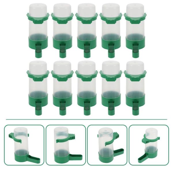 other bird supplies 10pcs parrot water feeding storage cup feeder waterer drink dispenser
other bird supplies 10pcs parrot water feeding storage cup feeder waterer drink dispenser