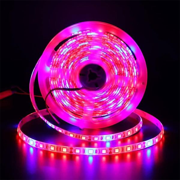 strips full spectrum led grow light strip 1m 2m 3m 4m 5m smd dc12v plant growing lights for greenhouse hydroponic tent
strips full spectrum led grow light strip 1m 2m 3m 4m 5m smd dc12v plant growing lights for greenhouse hydroponic tent