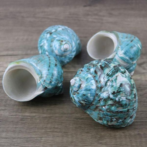 decorations natural hlbk polished green snail shells seashells original large coral sea home fish tank
decorations natural hlbk polished green snail shells seashells original large coral sea home fish tank