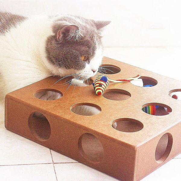 cat toys toy pet play box cats hide &seek scratching funny platform kitty puzzle with balls dog supplies v3 
cat toys toy pet play box cats hide &seek scratching funny platform kitty puzzle with balls dog supplies v3