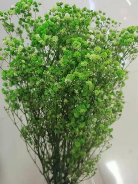 decorative flowers & wreaths 100g natural dried gypsophila for dinner party pography home bedroom balcony wedding table decoration baby'
decorative flowers & wreaths 100g natural dried gypsophila for dinner party pography home bedroom balcony wedding table decoration baby'