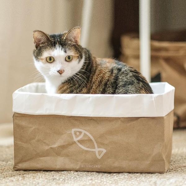 double kraft paper cat nest carton scratcher corrugated grinding claw board bed supplies accessories beds & furniture
double kraft paper cat nest carton scratcher corrugated grinding claw board bed supplies accessories beds & furniture