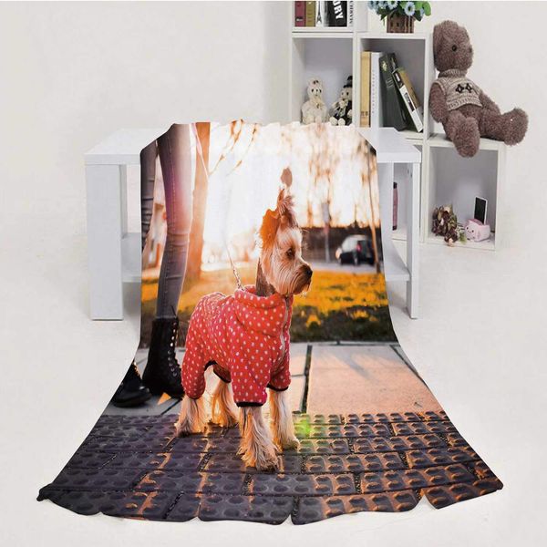 Cute Yorkshire Terrier with Clothes,House Flannel Throw Microfiber Blanket 50''x60''(WxL)
Cute Yorkshire Terrier with Clothes,House Flannel Throw Microfiber Blanket 50''x60''(WxL)