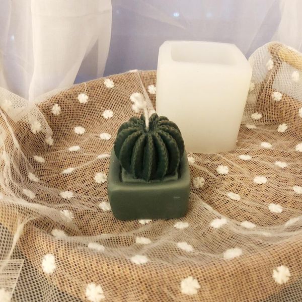 craft tools 3d silicone mold for candle making cakes with pedestal cactus home decoration molds candles
craft tools 3d silicone mold for candle making cakes with pedestal cactus home decoration molds candles