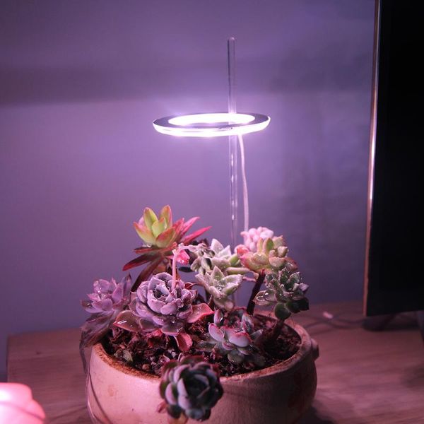 grow lights led light full spectrum phyto lamp usb phytolamp for plants 5v growth lighting indoor plant seedling
grow lights led light full spectrum phyto lamp usb phytolamp for plants 5v growth lighting indoor plant seedling