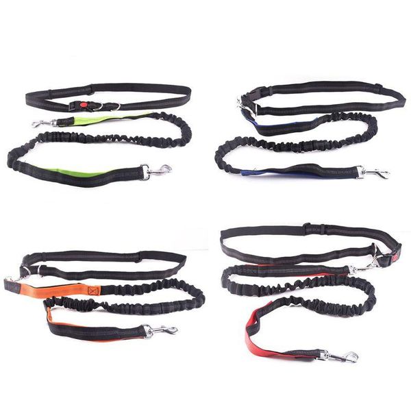dog collars & leashes retractable hands leash for running dual handle bungee reflective large dogs bag dispenser multipurpose e56e
dog collars & leashes retractable hands leash for running dual handle bungee reflective large dogs bag dispenser multipurpose e56e