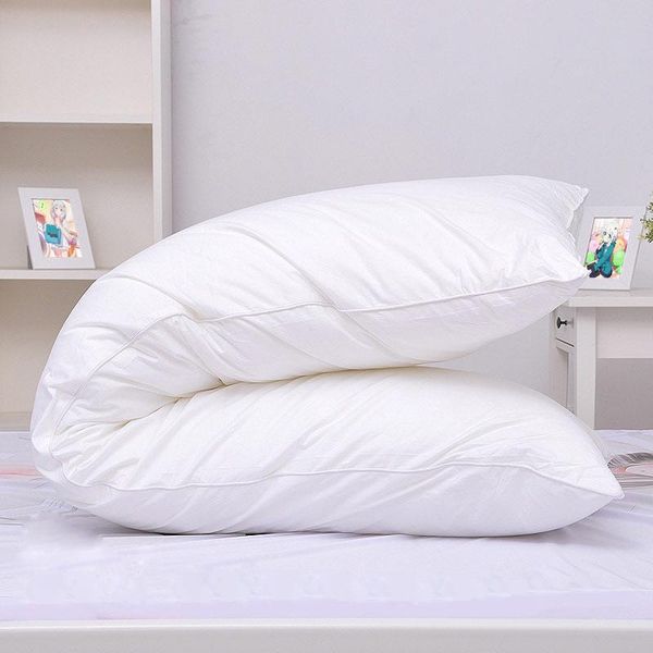 pillow 150 x 50cm hugging body inner insert anime core men women interior home use cushion filling
pillow 150 x 50cm hugging body inner insert anime core men women interior home use cushion filling
