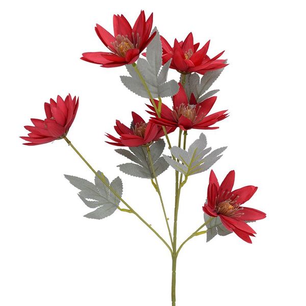 decorative flowers & wreaths artificial silk 6 heads aster chrysanthemum gerbera for diy wedding decorations home decor living room decorati
decorative flowers & wreaths artificial silk 6 heads aster chrysanthemum gerbera for diy wedding decorations home decor living room decorati