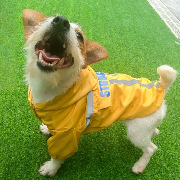 pet raincoat pu windproof reflective waterproof hooded puppy dog rainwear clothes foldable rain coats for pets apparel
pet raincoat pu windproof reflective waterproof hooded puppy dog rainwear clothes foldable rain coats for pets apparel