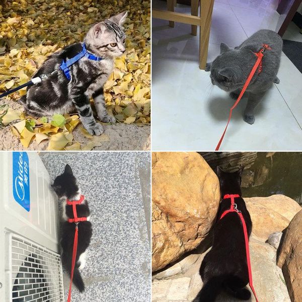 cat collars & leads harness leash set adjustable breakaway nylon strap collar with for kitten puppy lead
cat collars & leads harness leash set adjustable breakaway nylon strap collar with for kitten puppy lead