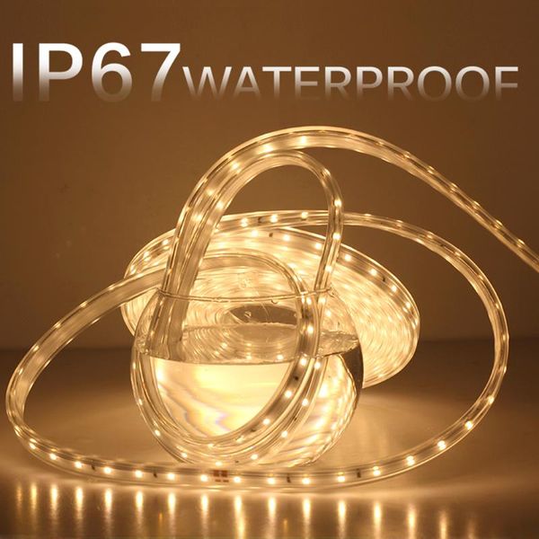 cold/warm white 220v ip67 waterproof led strip light uk plug 3m 5m 10m for kitchen bedroom closet q30 strips
cold/warm white 220v ip67 waterproof led strip light uk plug 3m 5m 10m for kitchen bedroom closet q30 strips