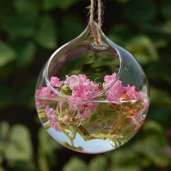 vases small ball globe shape clear transparent hanging glass vase flower plants terrarium container diy wedding home decoration
vases small ball globe shape clear transparent hanging glass vase flower plants terrarium container diy wedding home decoration