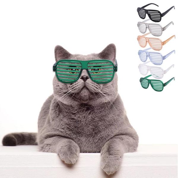 cute & funny louver window cat glasses pet personality accessories for small dog pos props toys
cute & funny louver window cat glasses pet personality accessories for small dog pos props toys