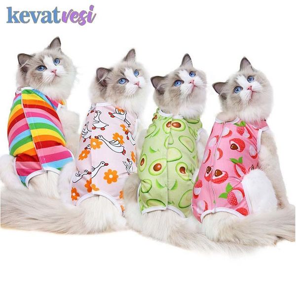 cat costumes soft recovery suit spring summer sterilization cute rainbow striped pet physiological apparel cats weaning
cat costumes soft recovery suit spring summer sterilization cute rainbow striped pet physiological apparel cats weaning