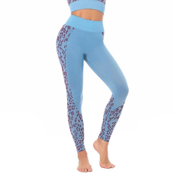 women's leggings qickitout 10% spandex bubble buknitted leopard seamless women moisture wicking pants, Black
women's leggings qickitout 10% spandex bubble buknitted leopard seamless women moisture wicking pants, Black