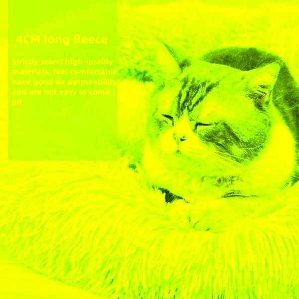 cat beds super soft long plush pet dog bed for dogs basket cushion pets small to medium-sized and large sofas & furniture
cat beds super soft long plush pet dog bed for dogs basket cushion pets small to medium-sized and large sofas & furniture
