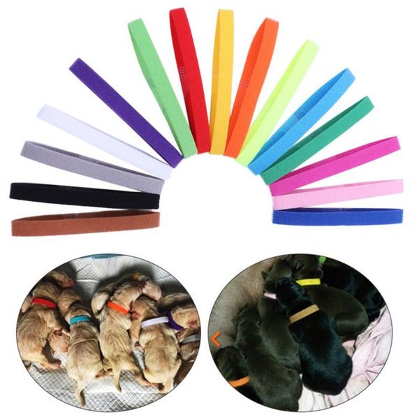 cat collars & leads 15pcs/set colorful identification id whelp kitten dog velvet practical nylon reusable puppy collar pet supplies
cat collars & leads 15pcs/set colorful identification id whelp kitten dog velvet practical nylon reusable puppy collar pet supplies