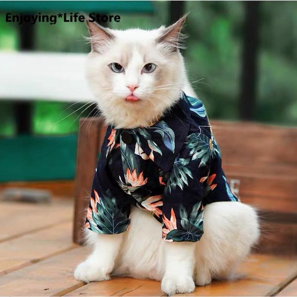 cat's fashion pet cat clothes spring summer puppy dog vest t-shirt kitten shirt clothing costumes
cat's fashion pet cat clothes spring summer puppy dog vest t-shirt kitten shirt clothing costumes