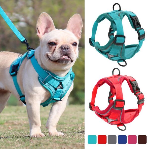 dog collars & leashes front range harness no pull adjustable reflective nylon padded and leash pet safety vehicular leads for cat
dog collars & leashes front range harness no pull adjustable reflective nylon padded and leash pet safety vehicular leads for cat