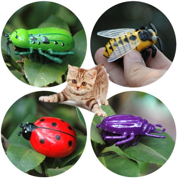 cat toys 4 style electronic dog play interactive auto running insect pet training toy for accessories
cat toys 4 style electronic dog play interactive auto running insect pet training toy for accessories