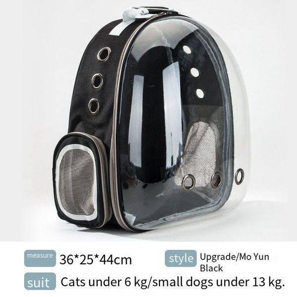 backpack dog out space with a student bag-type cat on his shoulder and summer translucent backpack.
backpack dog out space with a student bag-type cat on his shoulder and summer translucent backpack.
