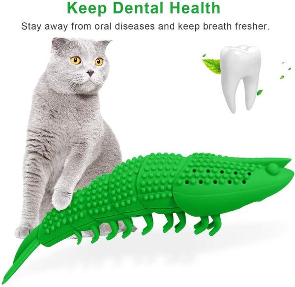 creative pet cat kitten chewing toys toothbrush chew toy for cats teeth cleaning dental care crayfish shape
creative pet cat kitten chewing toys toothbrush chew toy for cats teeth cleaning dental care crayfish shape
