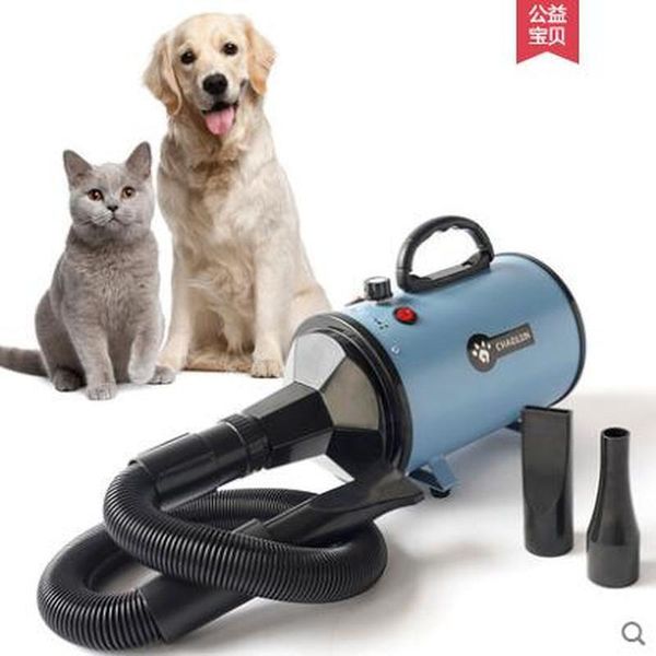 electric fans pet blower dog hair dryer high power mute large and cat special drying blowing artifact
electric fans pet blower dog hair dryer high power mute large and cat special drying blowing artifact