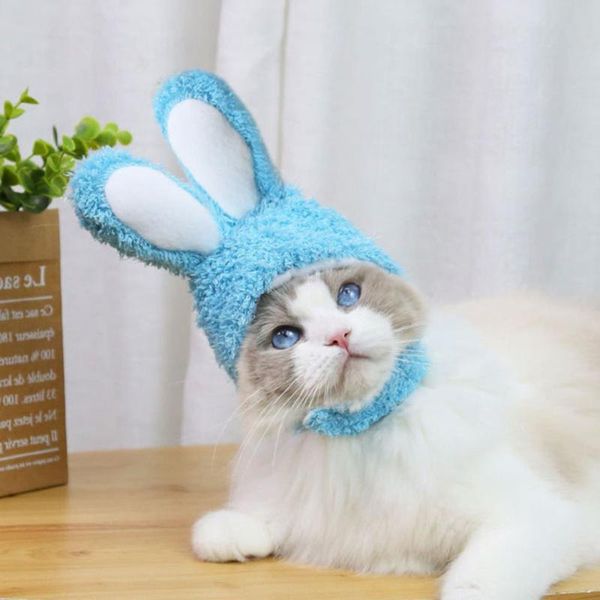 cat costumes hat cute pet with ears puppy dog cap party costume accessories headwear for kitten supplies
cat costumes hat cute pet with ears puppy dog cap party costume accessories headwear for kitten supplies