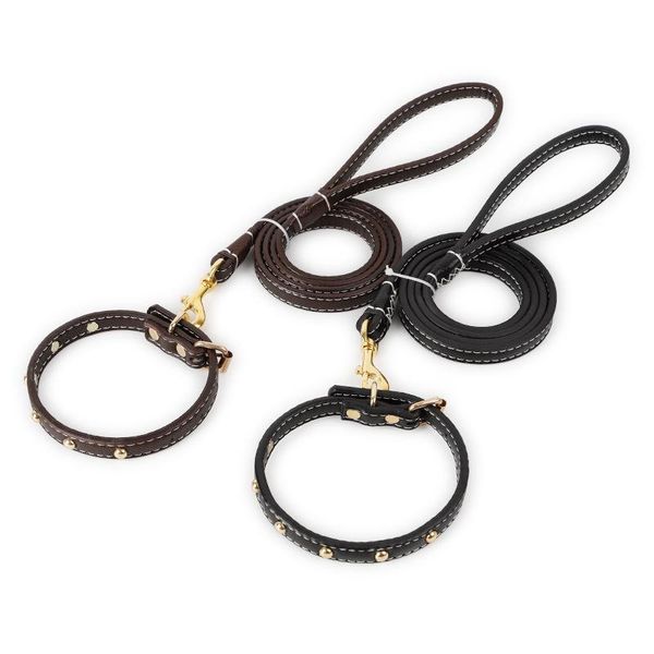 dog collars & leashes the leather material durable for small middle pet collar leash good quality lead attached accessories
dog collars & leashes the leather material durable for small middle pet collar leash good quality lead attached accessories