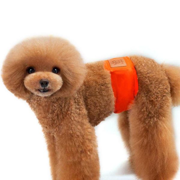 soft dog shorts waterproof puppy underwear physiological pants absorbent diapers sanitary pet short products apparel
soft dog shorts waterproof puppy underwear physiological pants absorbent diapers sanitary pet short products apparel