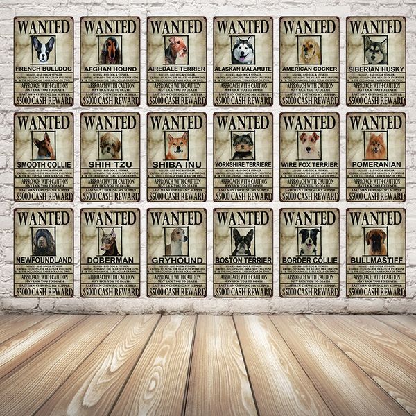 dogs wanied border collie chihuahua metal sign tin poster home decor bar wall art painting 20*30 cm size dy44
dogs wanied border collie chihuahua metal sign tin poster home decor bar wall art painting 20*30 cm size dy44