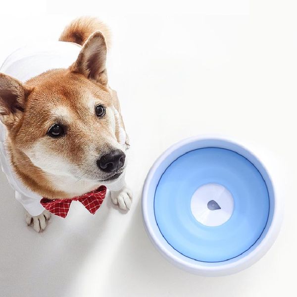1.2l dog cat water bowl pet buoyancy drink bowls splash automatic drinking fountain feeding accessories & feeders
1.2l dog cat water bowl pet buoyancy drink bowls splash automatic drinking fountain feeding accessories & feeders