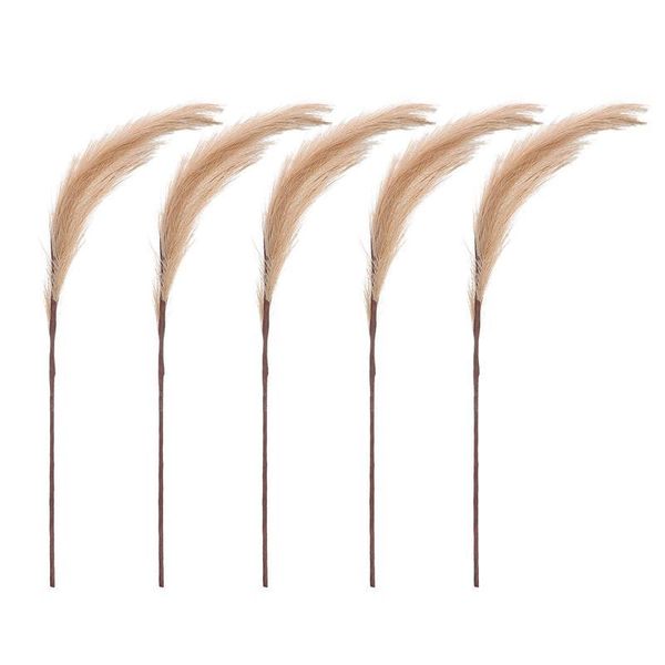 decorative flowers & wreaths 5pcs imitation reed artificial dried for home wedding flower seven-pointed ground
decorative flowers & wreaths 5pcs imitation reed artificial dried for home wedding flower seven-pointed ground