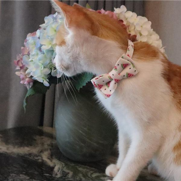 dog collars & leashes cute kitten necklace bow adjustable necktie collar bowknot bell cat tie small pet supplies
dog collars & leashes cute kitten necklace bow adjustable necktie collar bowknot bell cat tie small pet supplies