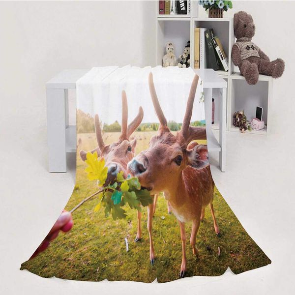feeding fallow deer by hand,throw blanket soft fuzzy microfiber sofa couch blanket 70''x80''(wxl)
feeding fallow deer by hand,throw blanket soft fuzzy microfiber sofa couch blanket 70''x80''(wxl)