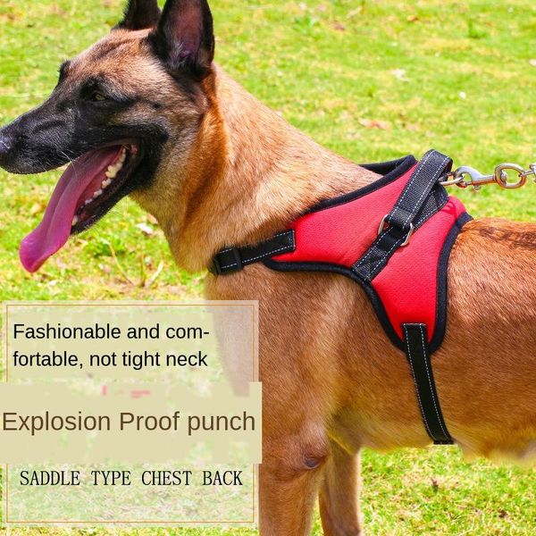 dog collars & leashes traction rope bone type explosion-proof rushing oxford cloth pet chest back strap
dog collars & leashes traction rope bone type explosion-proof rushing oxford cloth pet chest back strap