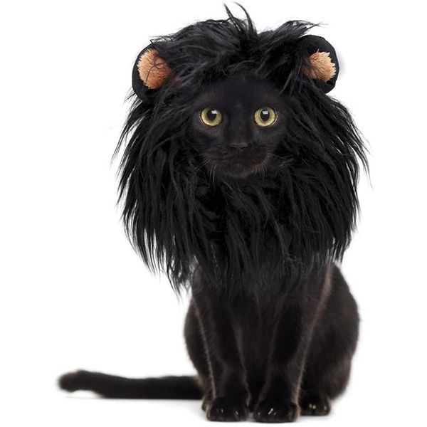 cat costumes headgear wig hat pet dog puppy costume lion
cat costumes headgear wig hat pet dog puppy costume lion