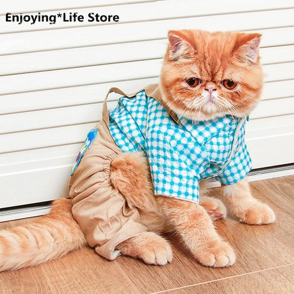 cat costumes winter warm pet jumpsuit sweet puppy clothes costume for cats kedi katten clothing animaux de compagnie cropa para gato
cat costumes winter warm pet jumpsuit sweet puppy clothes costume for cats kedi katten clothing animaux de compagnie cropa para gato