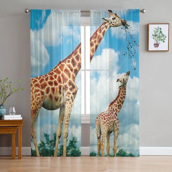 curtain & drapes giraffe window curtains bedroom modern drape sheer tulle valances living room kitchen voile
curtain & drapes giraffe window curtains bedroom modern drape sheer tulle valances living room kitchen voile