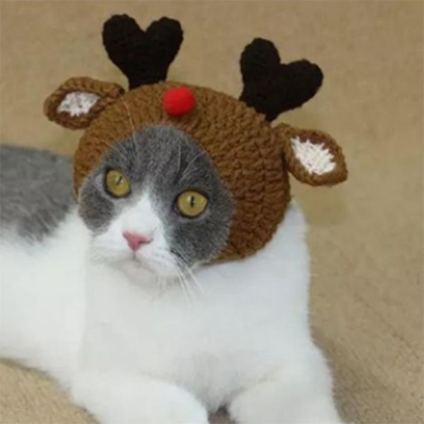cat costumes hand knitted pet hats cartoon shaped warm dog cap festival party accessories din889
cat costumes hand knitted pet hats cartoon shaped warm dog cap festival party accessories din889