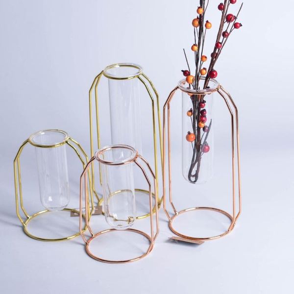 flower rack artificial fruit metal hydroponic vase nordic decoration interior garden minimalist decor glass test tube indoor vases
flower rack artificial fruit metal hydroponic vase nordic decoration interior garden minimalist decor glass test tube indoor vases
