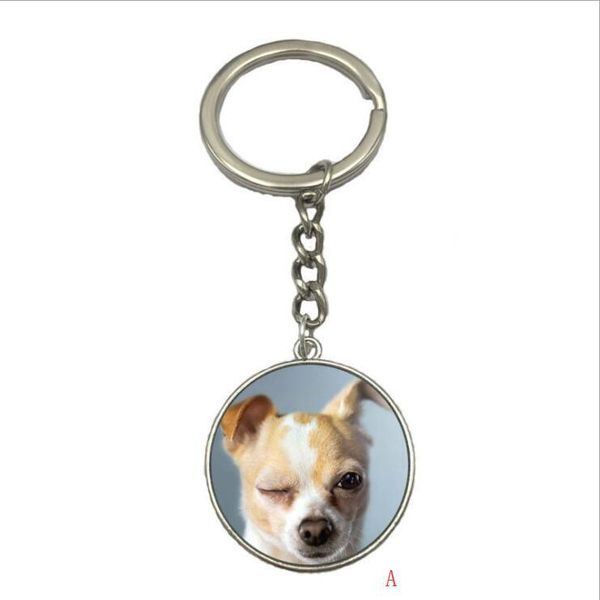 keychains chihuahua keychain--- time gem glass pendant keyring, Silver
keychains chihuahua keychain--- time gem glass pendant keyring, Silver