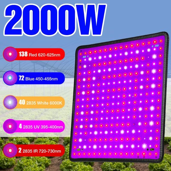 full spectrum plant growth lamp 2000w grow light greenhouse us uk eu plug flowers seedling phyto lights
full spectrum plant growth lamp 2000w grow light greenhouse us uk eu plug flowers seedling phyto lights