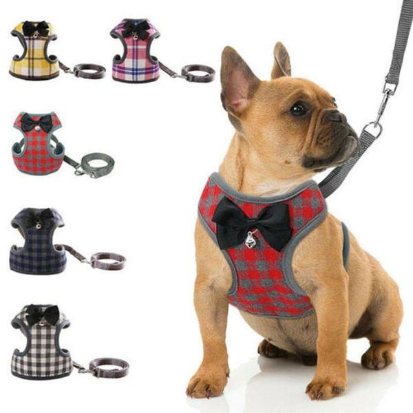 dog collars & leashes 2021 brand mesh breathable harness and leads pet puppy adjustable leash vest 3 sizes
dog collars & leashes 2021 brand mesh breathable harness and leads pet puppy adjustable leash vest 3 sizes