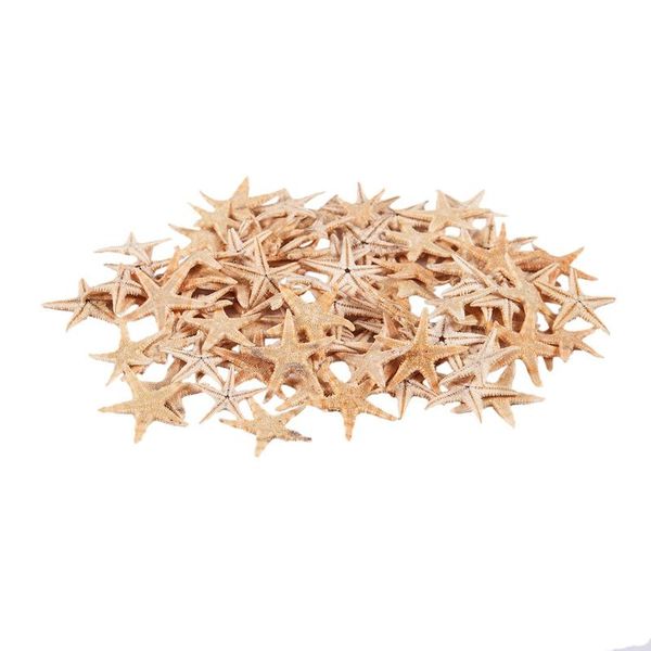 decorative objects & figurines small starfish star sea shell beach craft 0.4 inch-1.2 inch 90 pcs
decorative objects & figurines small starfish star sea shell beach craft 0.4 inch-1.2 inch 90 pcs