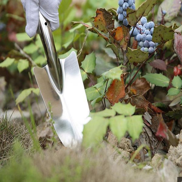 planters & pots mini portable flower shovel stainless steel gardening soil soaking hand excavator small tool
planters & pots mini portable flower shovel stainless steel gardening soil soaking hand excavator small tool