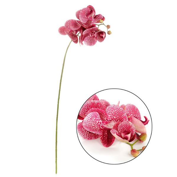 decorative flowers & wreaths 3d simulation phalaenopsis fake flower plant wall decoration with handmade diy rose red
decorative flowers & wreaths 3d simulation phalaenopsis fake flower plant wall decoration with handmade diy rose red